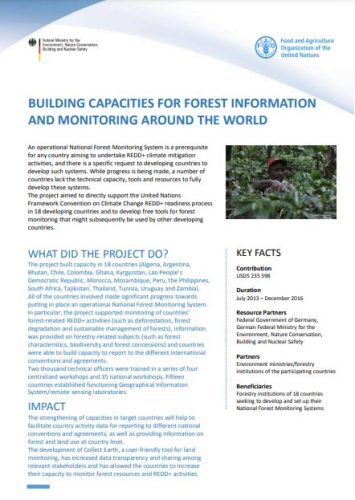 Capture-Building capacities for forest information and monitoring around the world