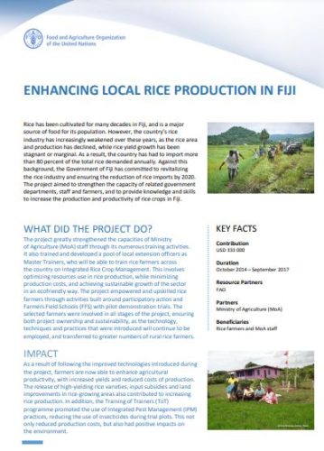 Enhancing rice production in fiji