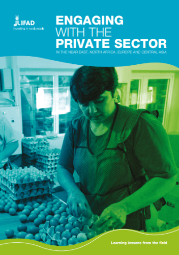 engaging_private_sector_NEN_cover(2)