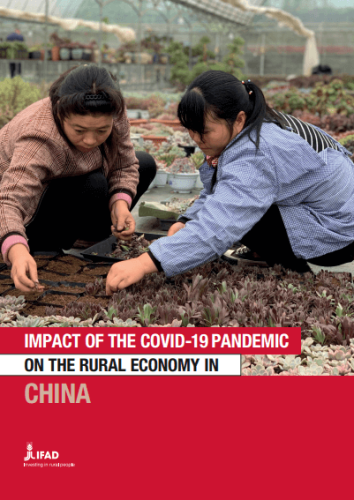 impact of covid in rural china cover (1)